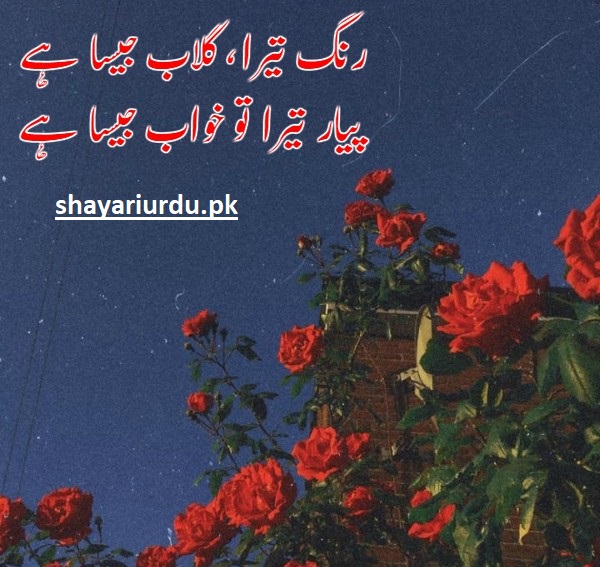 New Urdu Poets 2023