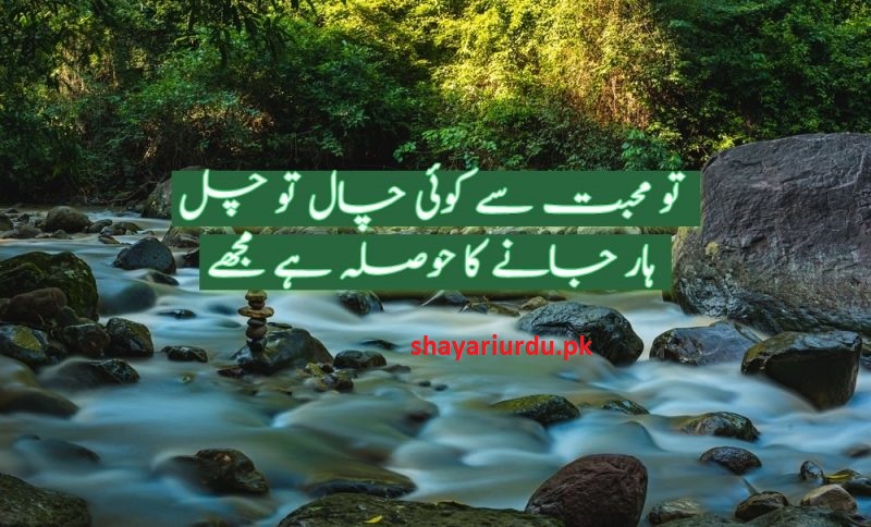 Shayari Romantic in Urdu