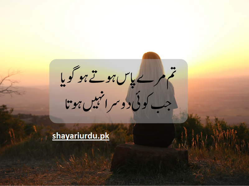 New Love Shayari In Urdu